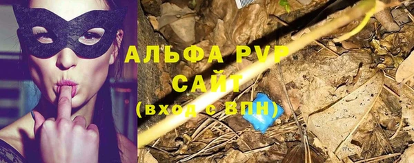 спиды Алексеевка